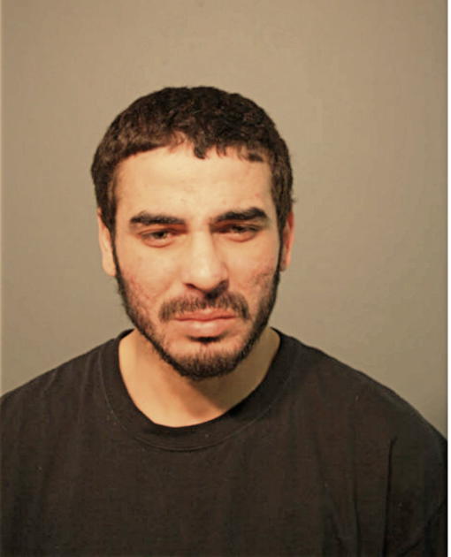 LUIS FUENTES CATALA, Cook County, Illinois