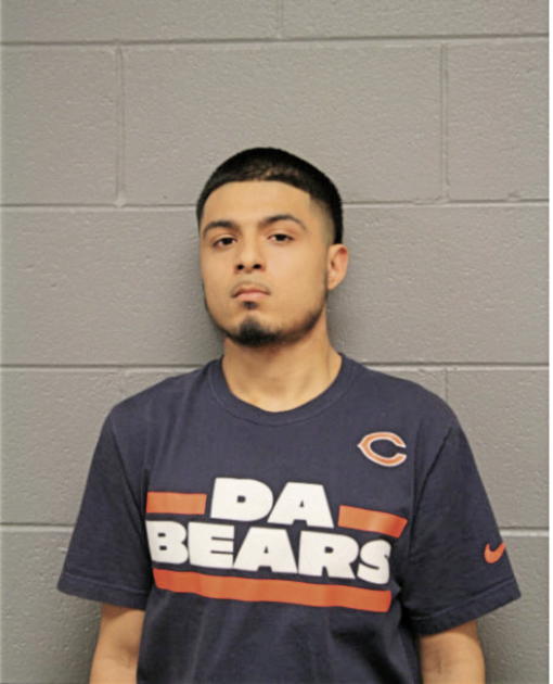 LUIS A CORTES, Cook County, Illinois