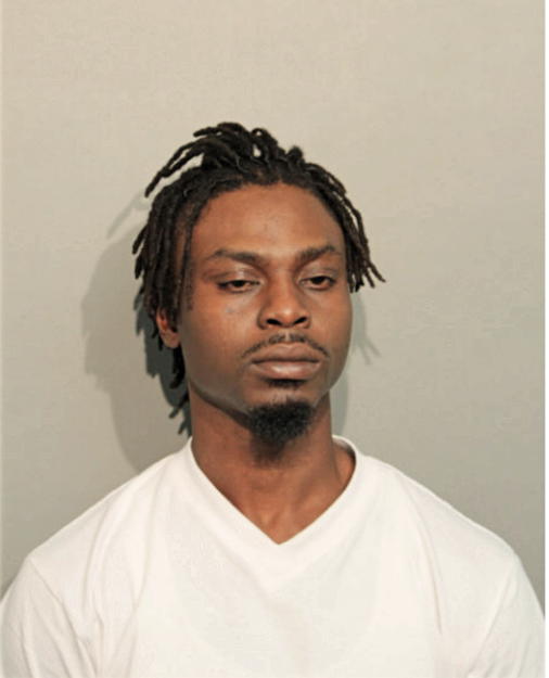 BABATUNAE DAVID, Cook County, Illinois