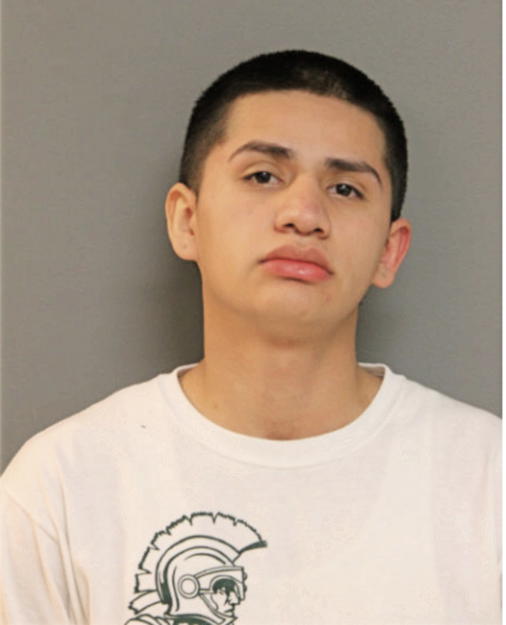 JIMMY I GOMEZ, Cook County, Illinois
