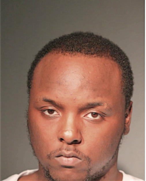 ANGELO T HIGGINS, Cook County, Illinois