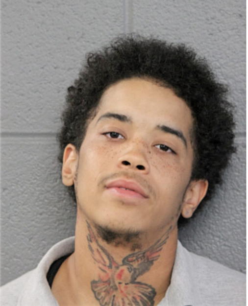 JUSTIN M JOHNSON, Cook County, Illinois