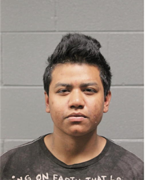 ANNETTE LEDESMA, Cook County, Illinois