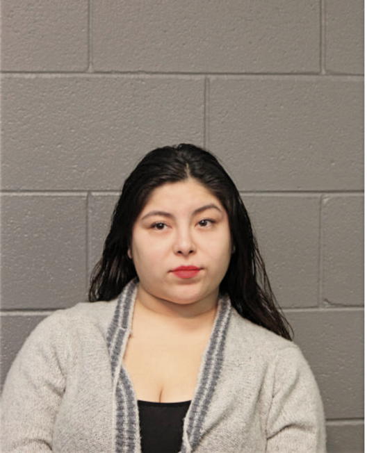 VANESSA DE LOS SANTOS, Cook County, Illinois
