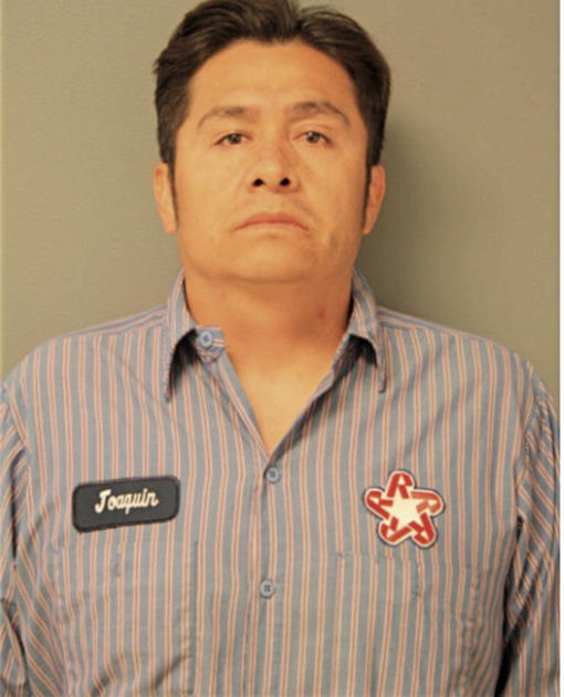 JOAQUIN MENDOZA, Cook County, Illinois