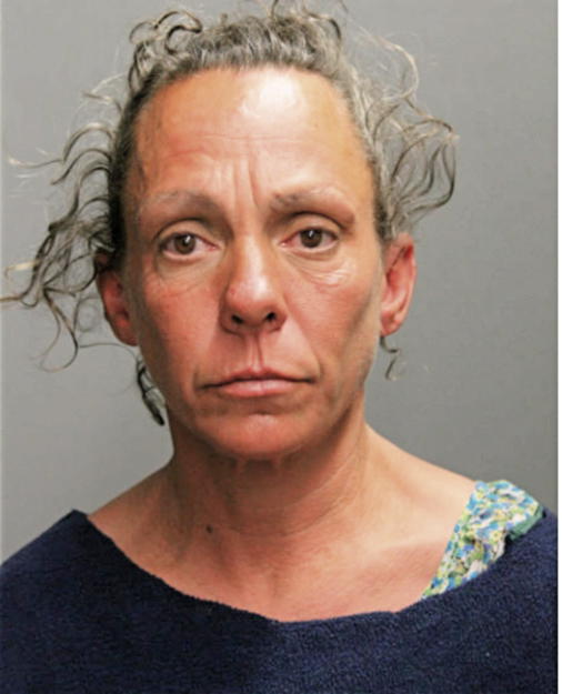 AMY MOYLES, Cook County, Illinois