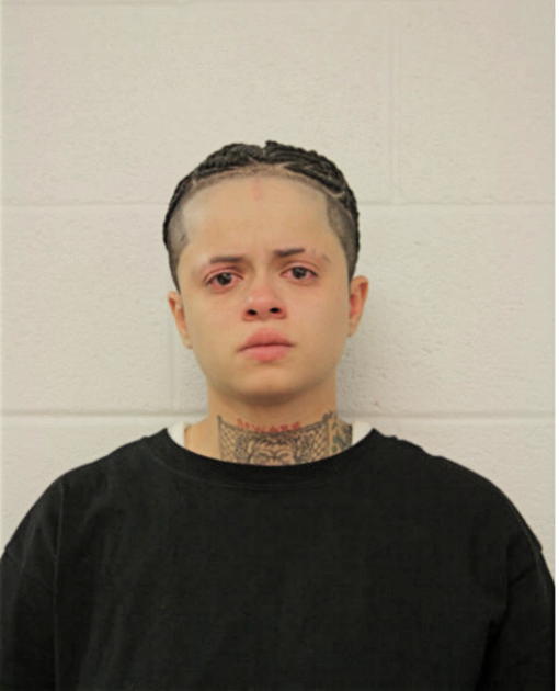 BRITTANY S OLIVERA, Cook County, Illinois