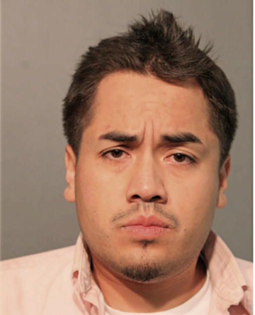 ABRAHAM M POSADAS-GARCIA, Cook County, Illinois