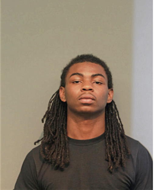 TAMARI K RAPP, Cook County, Illinois