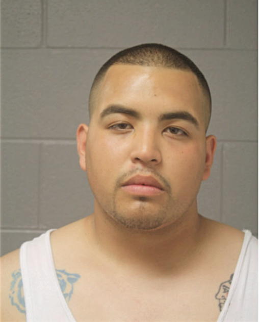 JOHNATHAN REZA, Cook County, Illinois