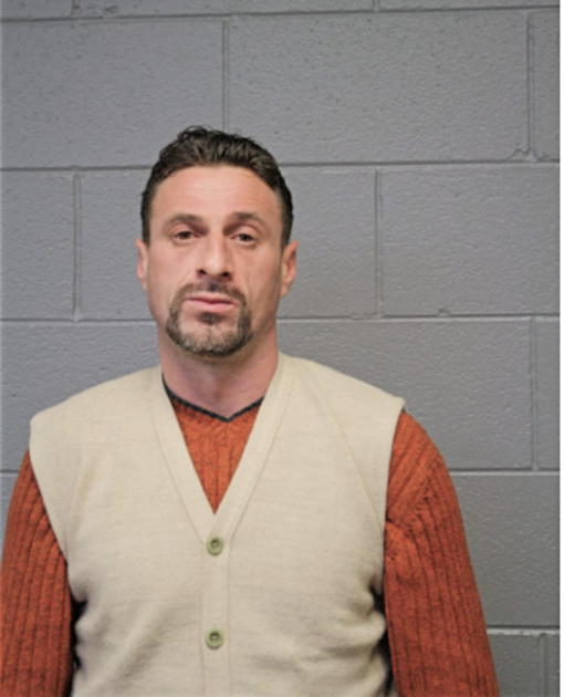 ZIJAD TALIC, Cook County, Illinois
