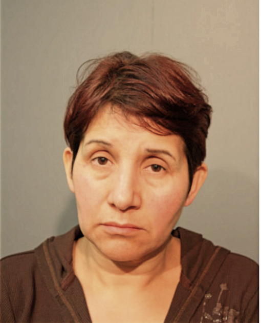 IRMA VILLEGAS, Cook County, Illinois