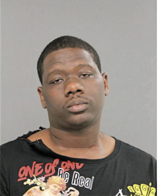 MICHAEL G YOUNG, Cook County, Illinois