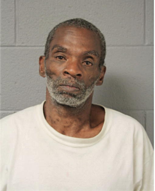 STEVEN A ADAMS, Cook County, Illinois