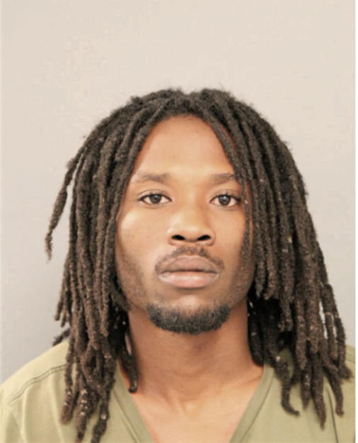 ROBIN J BURKS, Cook County, Illinois