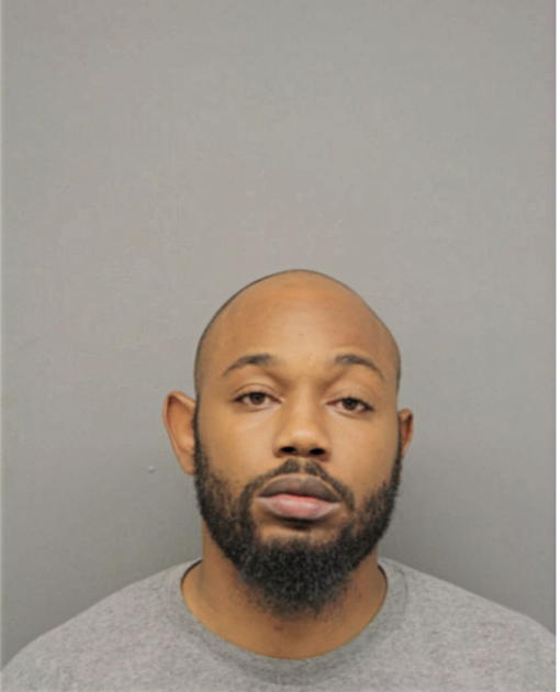 WILLIAM L BURNS, Cook County, Illinois