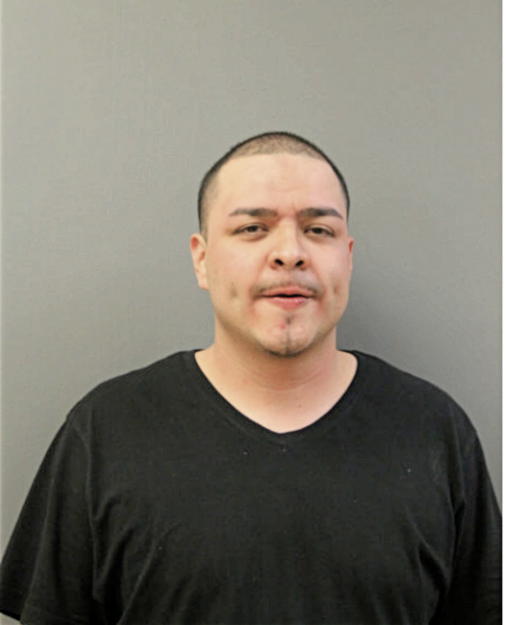 JORGE BUSTAMANTE, Cook County, Illinois