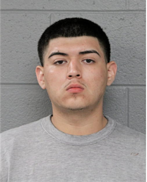 TOMAS M DIAZ, Cook County, Illinois
