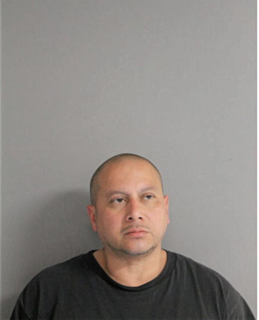 FERNANDO R FLORES, Cook County, Illinois