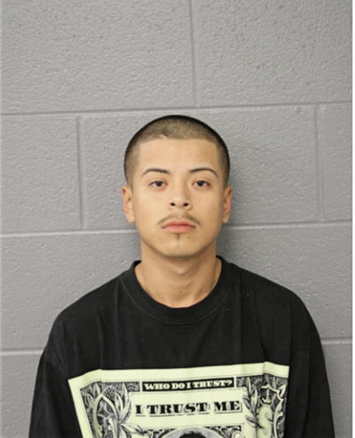 HUGO FLORES, Cook County, Illinois