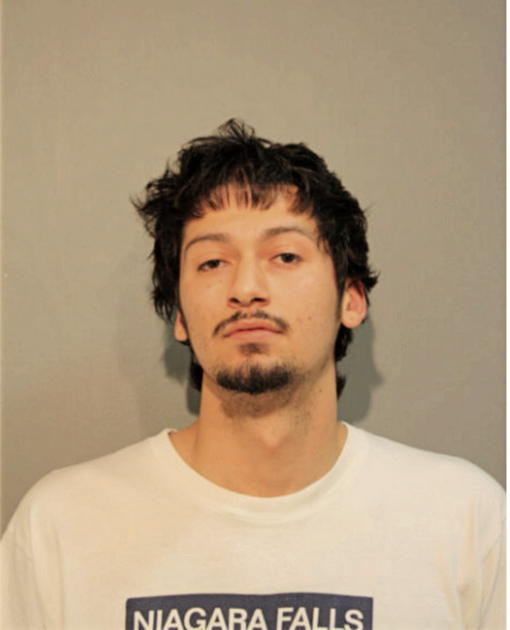 RICARDO A FLORES, Cook County, Illinois
