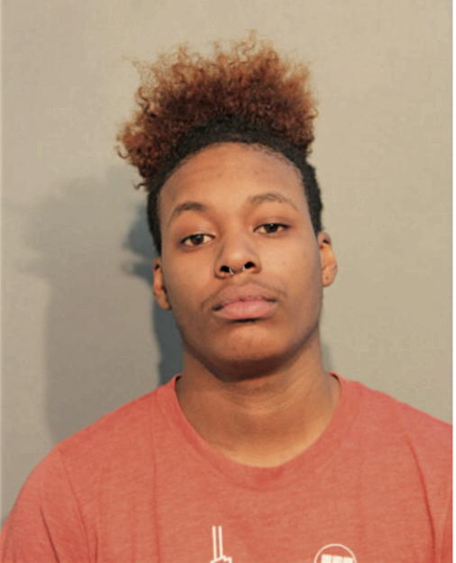 ANDRE G FRANKLIN-BURNETT, Cook County, Illinois