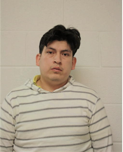 RENE MOISES GALLEGOS ORELLANA, Cook County, Illinois