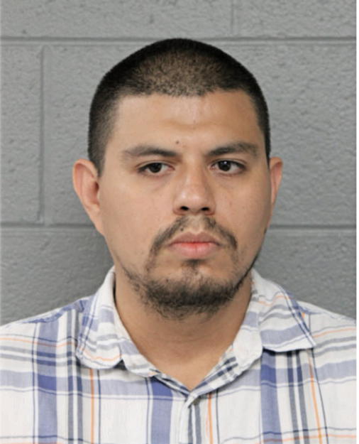JUAN J IBARRA, Cook County, Illinois