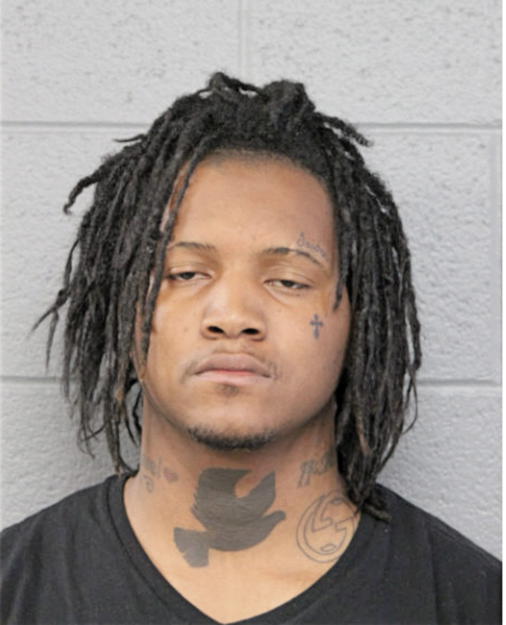 TYNEIL D JOHNSON, Cook County, Illinois
