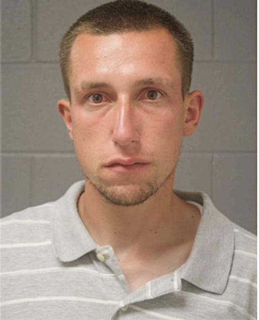 DAVID M LICHAJ, Cook County, Illinois