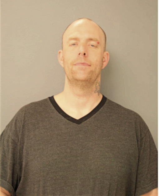 MICHAEL W LUKAS, Cook County, Illinois