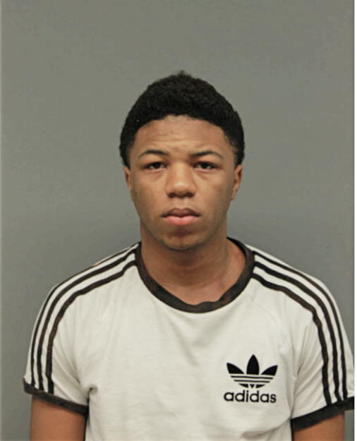 TAJZE L MULLINS, Cook County, Illinois