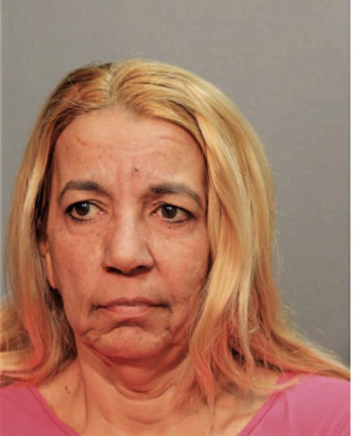 AIDA NERIS, Cook County, Illinois