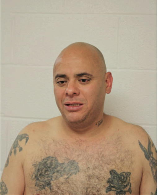 GUSTAVO R PINEDA, Cook County, Illinois