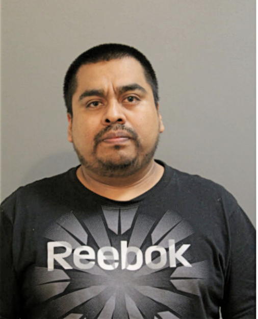 PEDRO PINEDA, Cook County, Illinois