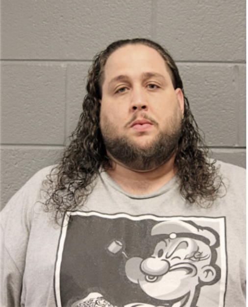 JASON F RONDON, Cook County, Illinois