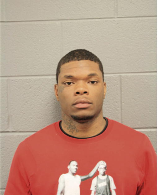 DANIEL J ROWE, Cook County, Illinois