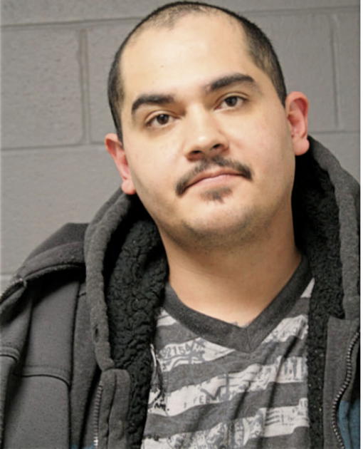 JORGE A SALCEDO, Cook County, Illinois