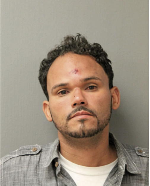 RENE P SANTIAGO, Cook County, Illinois
