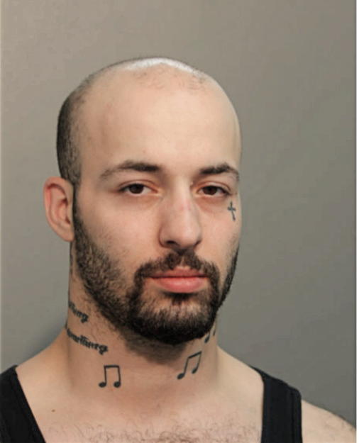 NINOS SHABANDAR, Cook County, Illinois