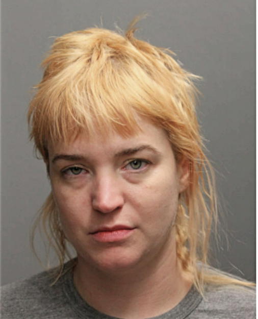 CARRIE L SMITH, Cook County, Illinois