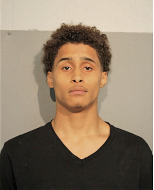 SHANE A SMITH, Cook County, Illinois