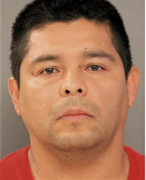 LORENZO TOLEDO-HERRERA, Cook County, Illinois