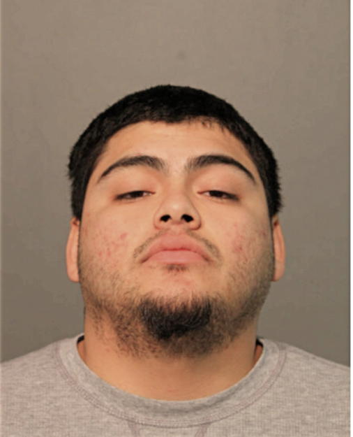 DANIEL P VEGA, Cook County, Illinois