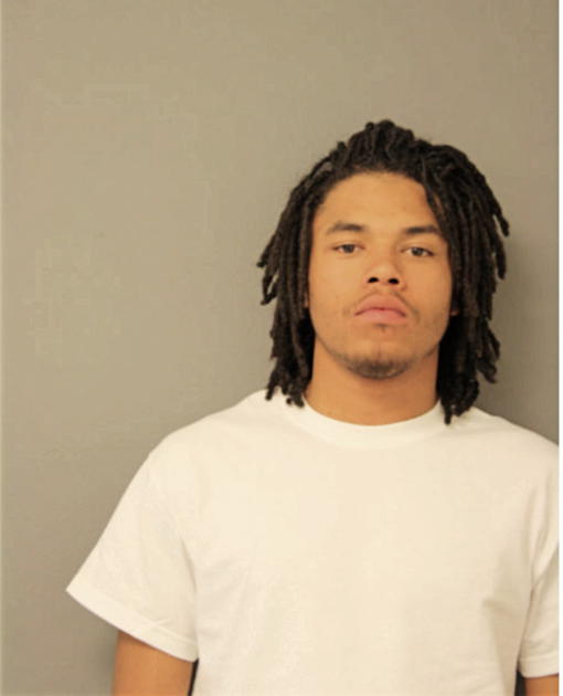 ROBERT L WILLIS, Cook County, Illinois