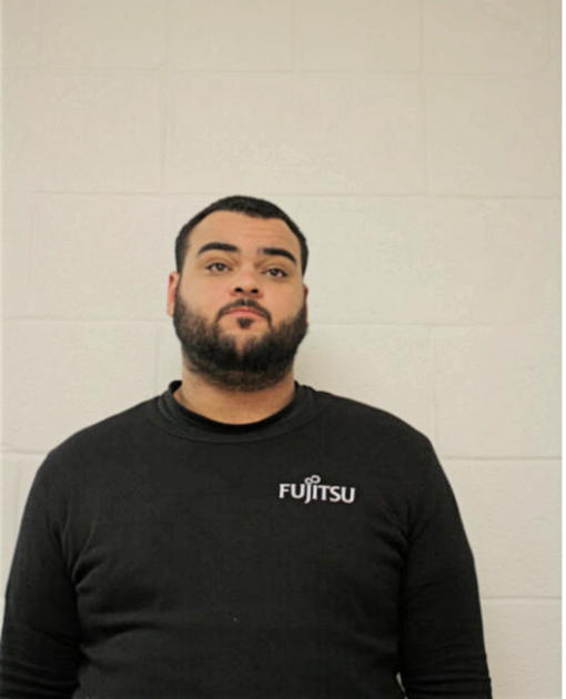 JOSHUA D AGRINSONI, Cook County, Illinois