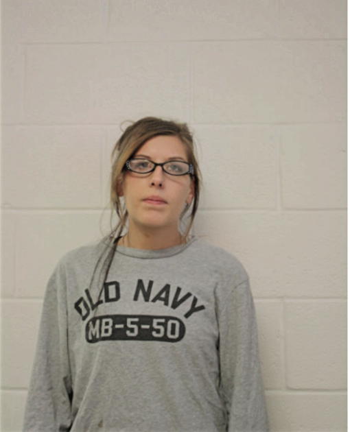 NIKOLINA R APIECZONEK, Cook County, Illinois