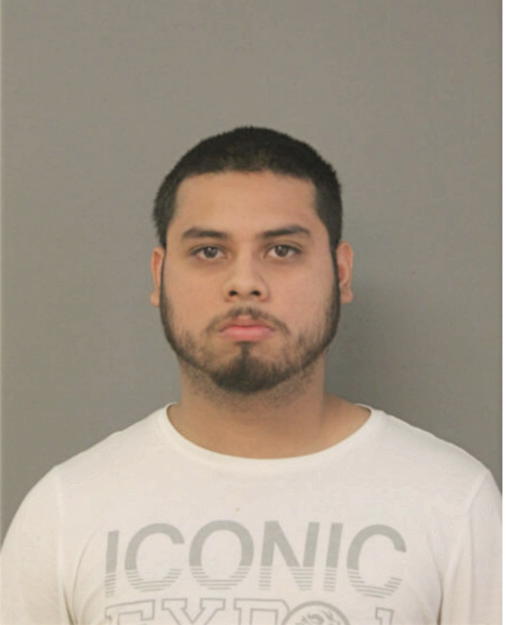 RICARDO BAHENA, Cook County, Illinois