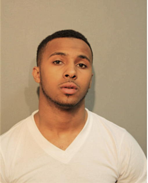 ALAN L BELL, Cook County, Illinois