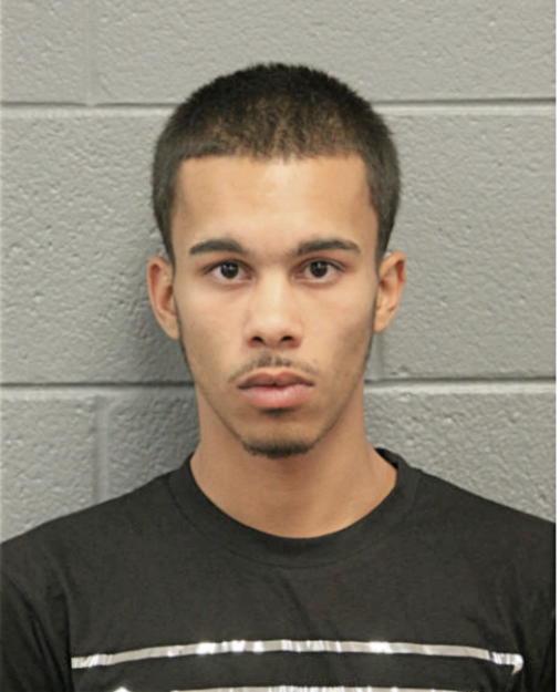 STEVE L BERMUDEZ, Cook County, Illinois